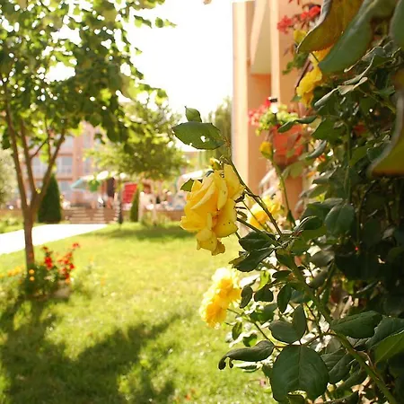 Sunny Day 6 סאני ביץ'